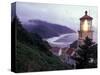 Foggy Day at the Heceta Head Lighthouse, Oregon, USA-Janis Miglavs-Stretched Canvas