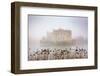 Foggy day in the park surrounding Leeds Castle, Kent, England, United Kingdom, Europe-Nagy Melinda-Framed Photographic Print