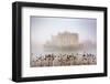 Foggy day in the park surrounding Leeds Castle, Kent, England, United Kingdom, Europe-Nagy Melinda-Framed Photographic Print