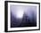 Foggy Day with Trees-Sharon Wish-Framed Photographic Print