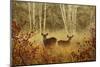 Foggy Deer-Chris Vest-Mounted Art Print