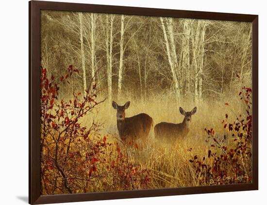 Foggy Deer-Chris Vest-Framed Art Print