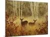 Foggy Deer-Chris Vest-Mounted Art Print