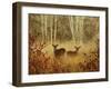 Foggy Deer-Chris Vest-Framed Art Print