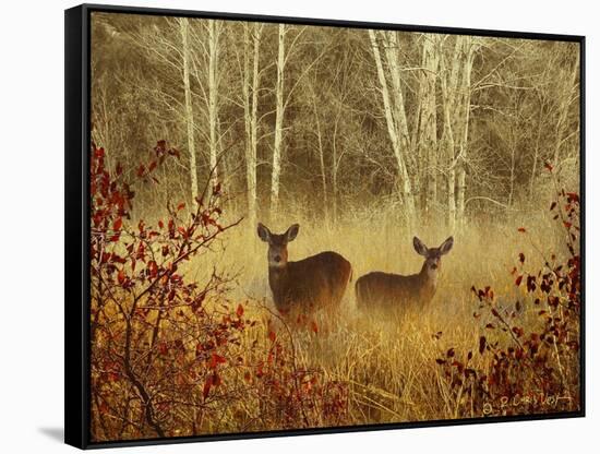 Foggy Deer-Chris Vest-Framed Stretched Canvas