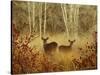 Foggy Deer-Chris Vest-Stretched Canvas