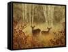 Foggy Deer-Chris Vest-Framed Stretched Canvas