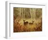 Foggy Deer-Chris Vest-Framed Art Print