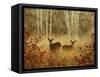 Foggy Deer-Chris Vest-Framed Stretched Canvas