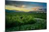 Foggy Evening with the Midnight Sun, Eyjafjordur, Northern Iceland-Ragnar Th Sigurdsson-Mounted Photographic Print