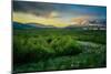 Foggy Evening with the Midnight Sun, Eyjafjordur, Northern Iceland-Ragnar Th Sigurdsson-Mounted Photographic Print