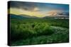 Foggy Evening with the Midnight Sun, Eyjafjordur, Northern Iceland-Ragnar Th Sigurdsson-Stretched Canvas