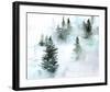 Foggy Evergreens I-Jennifer Parker-Framed Art Print