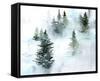 Foggy Evergreens I-Jennifer Parker-Framed Stretched Canvas