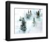 Foggy Evergreens I-Jennifer Parker-Framed Art Print