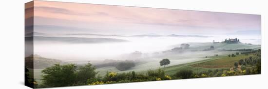 Foggy Field, Villa Belvedere, San Quirico D'Orcia, Val D'Orcia, Siena Province, Tuscany, Italy-null-Stretched Canvas