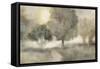 Foggy Field-Edward Selkirk-Framed Stretched Canvas