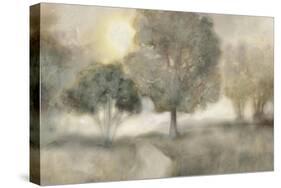 Foggy Field-Edward Selkirk-Stretched Canvas