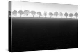 Foggy Flevopolder-Huib Limberg-Stretched Canvas