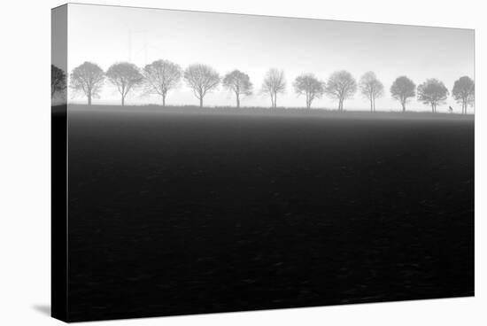 Foggy Flevopolder-Huib Limberg-Stretched Canvas