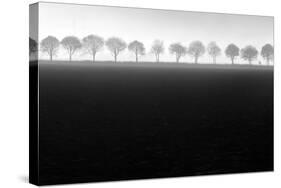 Foggy Flevopolder-Huib Limberg-Stretched Canvas