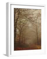 Foggy Forest-Peter Polter-Framed Photographic Print