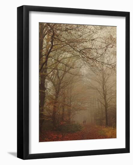 Foggy Forest-Peter Polter-Framed Premium Photographic Print