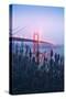 Foggy Golden Gate Bridge and Wildflowers, San Francisco-Vincent James-Stretched Canvas