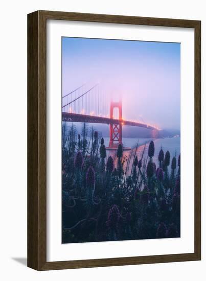 Foggy Golden Gate Bridge and Wildflowers, San Francisco-Vincent James-Framed Photographic Print