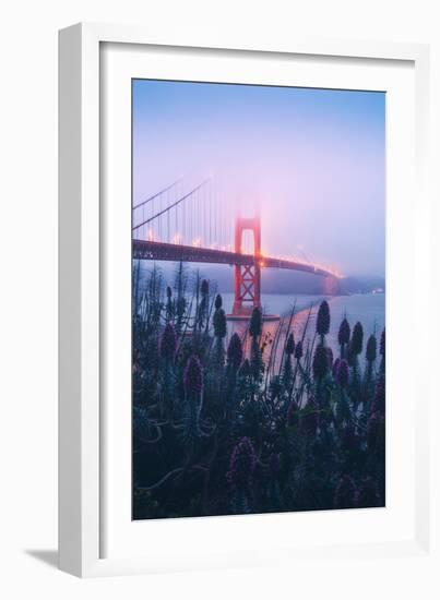 Foggy Golden Gate Bridge and Wildflowers, San Francisco-Vincent James-Framed Photographic Print