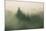 Foggy Green, Trees in Fog at Mount Tam, Bay Area, San Francisco-Vincent James-Mounted Photographic Print