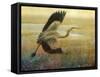 Foggy Heron I-Chris Vest-Framed Stretched Canvas