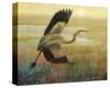 Foggy Heron-Chris Vest-Stretched Canvas