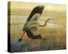 Foggy Heron-Chris Vest-Stretched Canvas