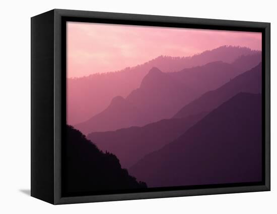 Foggy Hills in Sequoia National Park-Bill Ross-Framed Stretched Canvas