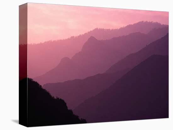 Foggy Hills in Sequoia National Park-Bill Ross-Stretched Canvas