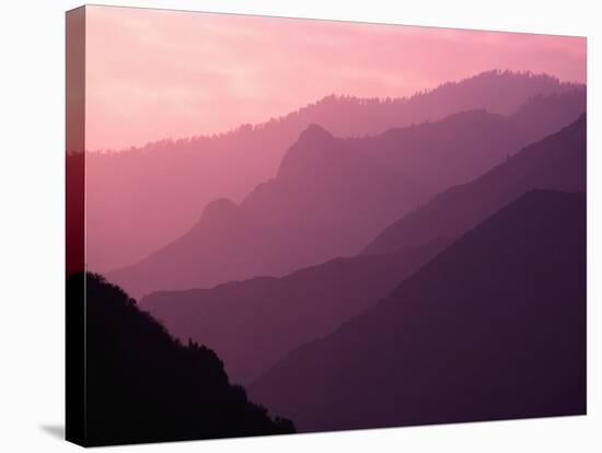 Foggy Hills in Sequoia National Park-Bill Ross-Stretched Canvas
