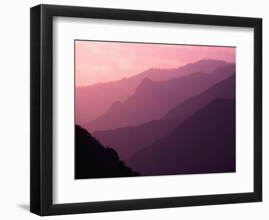 Foggy Hills in Sequoia National Park-Bill Ross-Framed Photographic Print