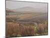 Foggy Landscape Near the Usk Reservoir, 2009-Peter Breeden-Mounted Giclee Print