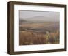 Foggy Landscape Near the Usk Reservoir, 2009-Peter Breeden-Framed Giclee Print