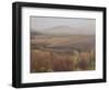 Foggy Landscape Near the Usk Reservoir, 2009-Peter Breeden-Framed Giclee Print