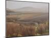 Foggy Landscape Near the Usk Reservoir, 2009-Peter Breeden-Mounted Giclee Print