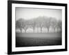 Foggy Landscape-Craig Roberts-Framed Photographic Print