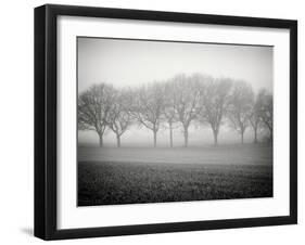 Foggy Landscape-Craig Roberts-Framed Photographic Print