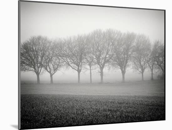 Foggy Landscape-Craig Roberts-Mounted Photographic Print