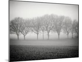 Foggy Landscape-Craig Roberts-Mounted Photographic Print