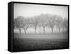 Foggy Landscape-Craig Roberts-Framed Stretched Canvas