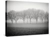 Foggy Landscape-Craig Roberts-Stretched Canvas