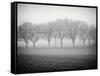 Foggy Landscape-Craig Roberts-Framed Stretched Canvas