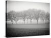 Foggy Landscape-Craig Roberts-Stretched Canvas